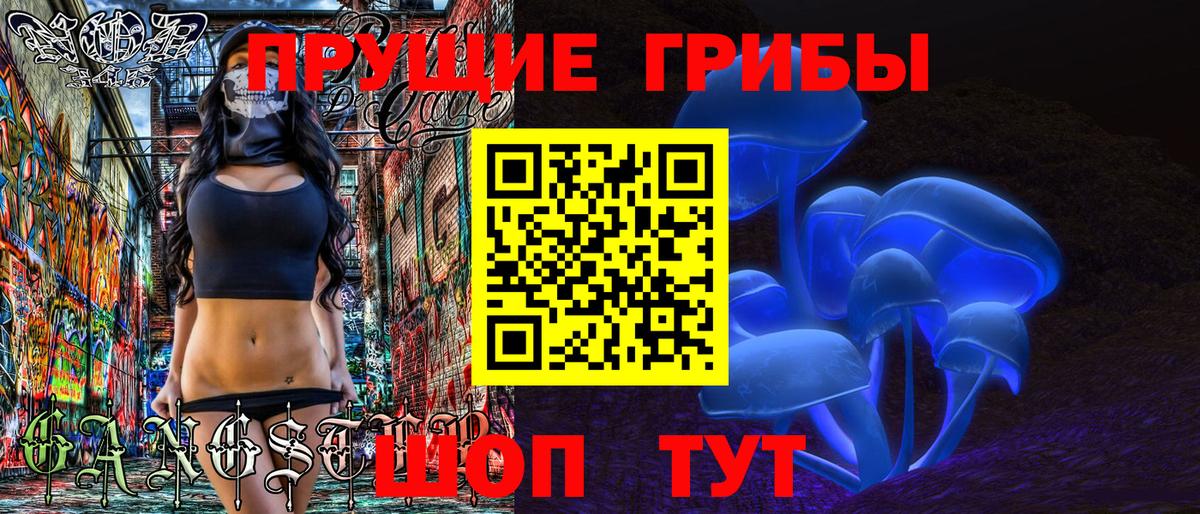 Псилоцибиновые грибы GOLDEN TEACHER Скопин