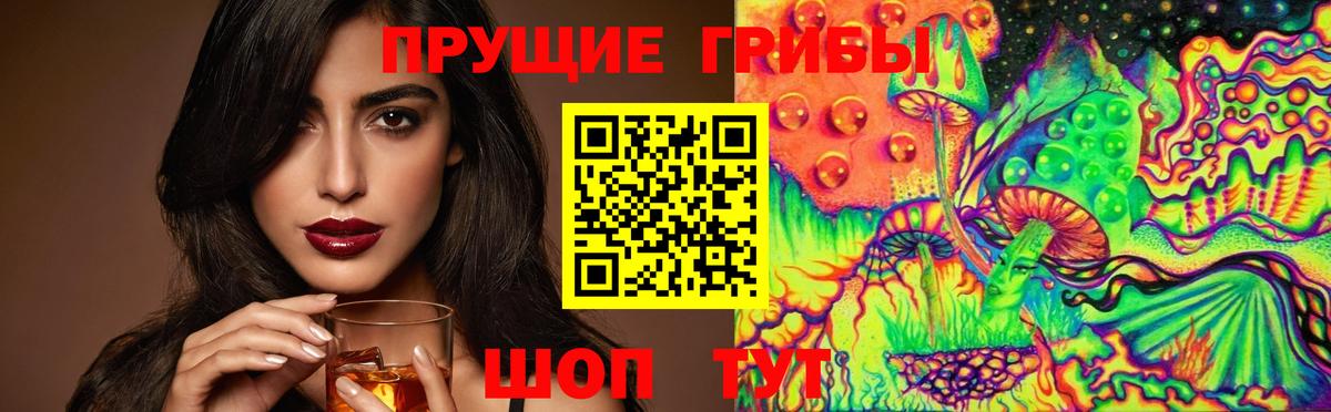где купить   Галлюциногенные грибы Psilocybine cubensis  Скопин  Вход с VPN  Галлюциногенные грибы GOLDEN TEACHER 